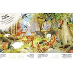 Milyen érdekes a világ… Állatkölykök