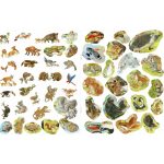 Milyen érdekes a világ… Állatkölykök