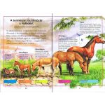 Olvass velünk! (3) - A lovak története