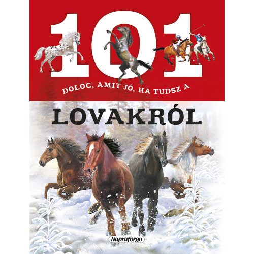 101 dolog, amit jó, ha tudsz a lovakról 