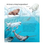 A tenger állatai – Mit? Miért? Hogyan? Mini (60.)