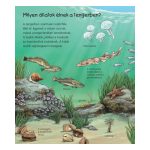 A tenger állatai – Mit? Miért? Hogyan? Mini (60.)