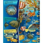 Nagyítóval - A tenger alatt