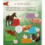 Zseblámpával - A tanyán