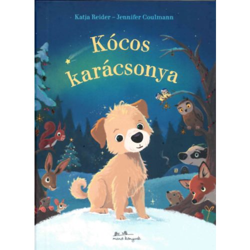 Kócos karácsonya