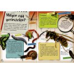 Séta a természetben