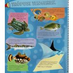 Zseblámpával - A tenger alatt