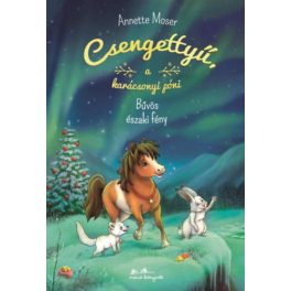 Csengettyű a karácsonyi póni 3. - A bűvös északi fény