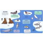 Kis felfedezők - Minden, ami tenger