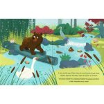 Varázslámpa - Az erdő lakói